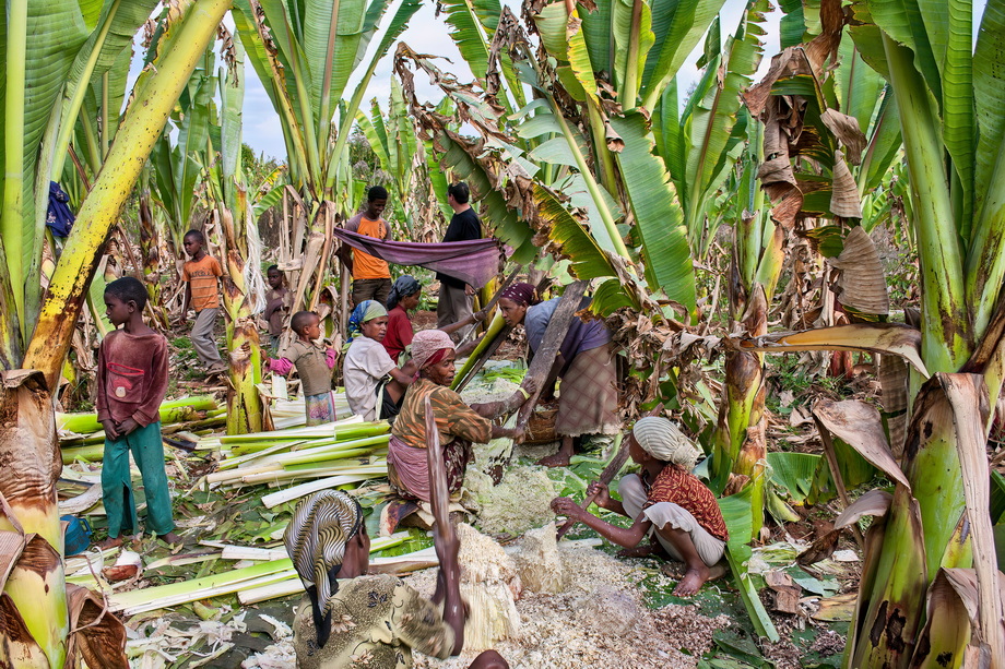 Gurage People