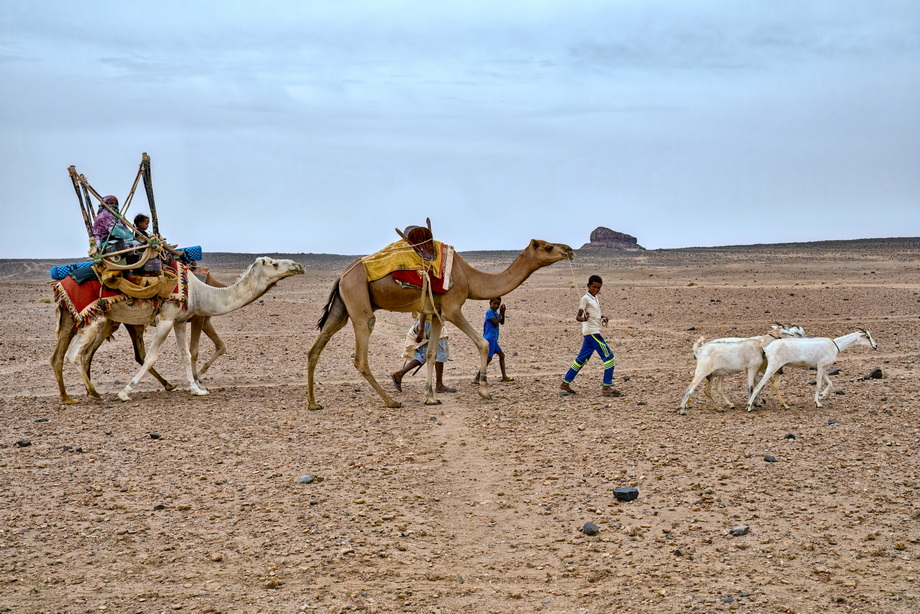 Moor People
