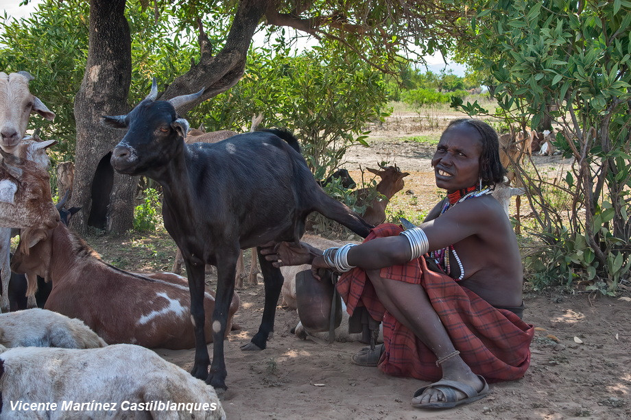 Arbore People