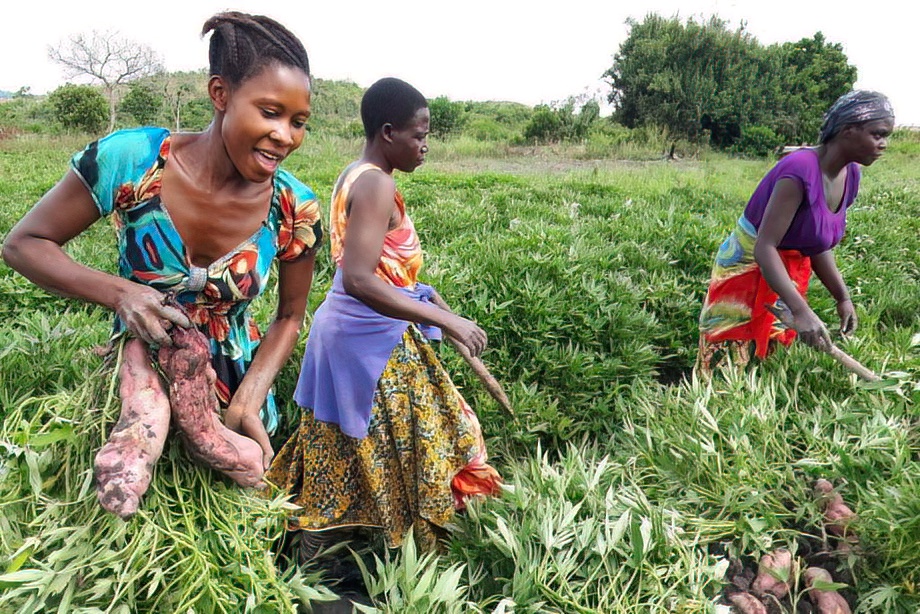 Banyambo People