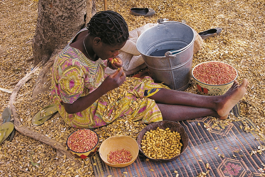 Fali People