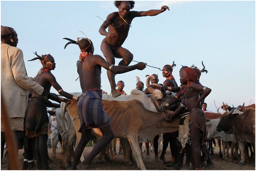 Hamer people