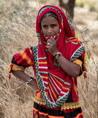 Arab