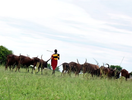 Batuku people
