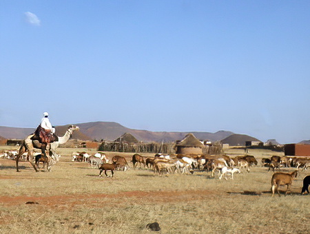 Midob People
