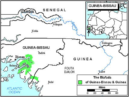 Biafada people